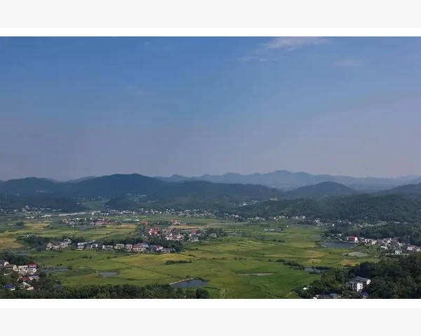 中医解密：缓解尿失禁的有效中药方剂